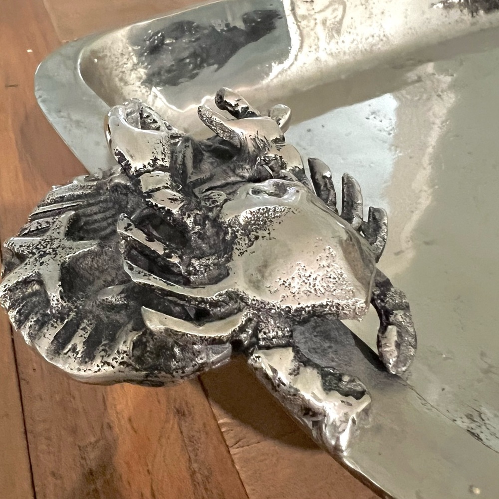 NWOT Silver Coastal ServeWare - Picture 5 of 6